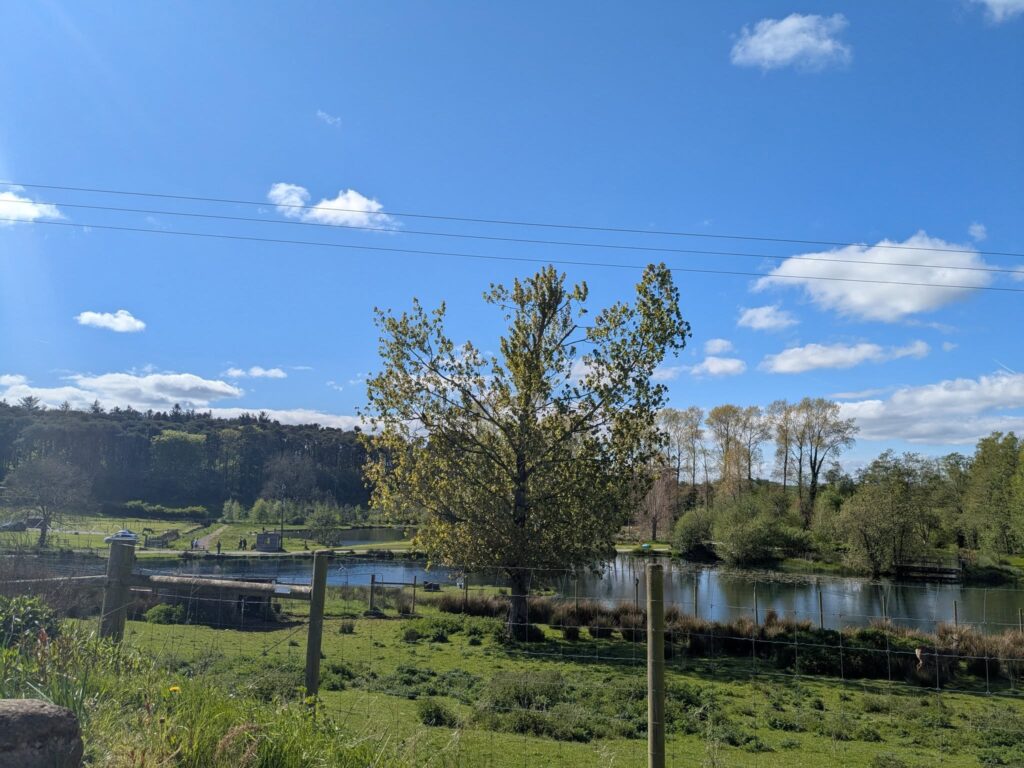Back to Nature at Annaginney Fishery Caravan park and farm