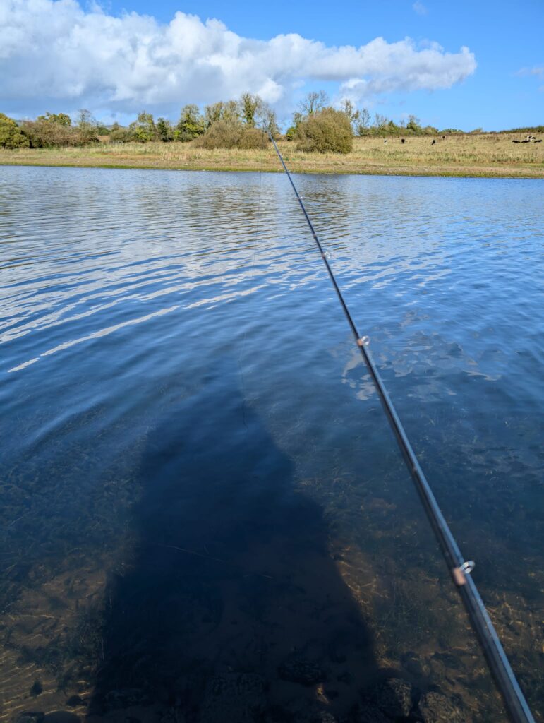 Fly Fishing on a fishing lake for Rainbow trout
