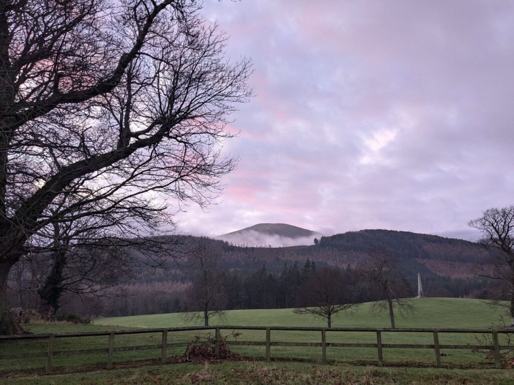 Mourne Mountains Tollymore Forest Park